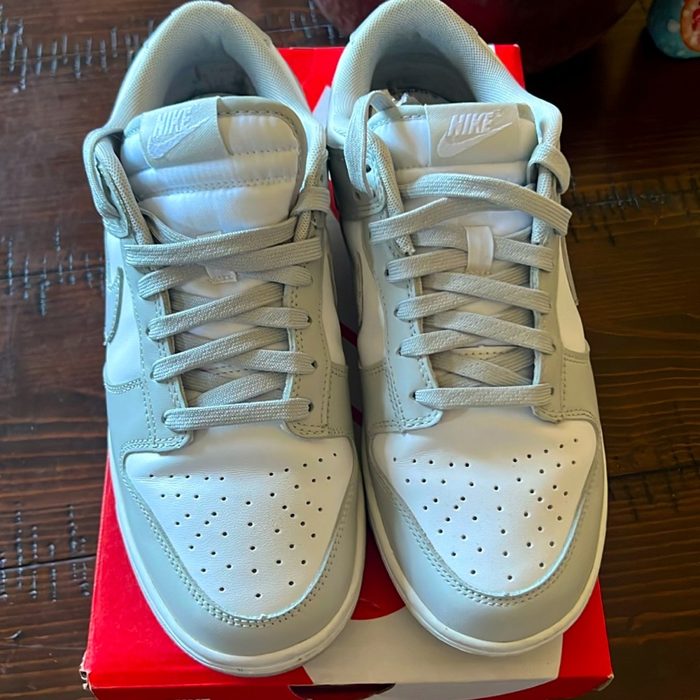 Nike dunk low retro